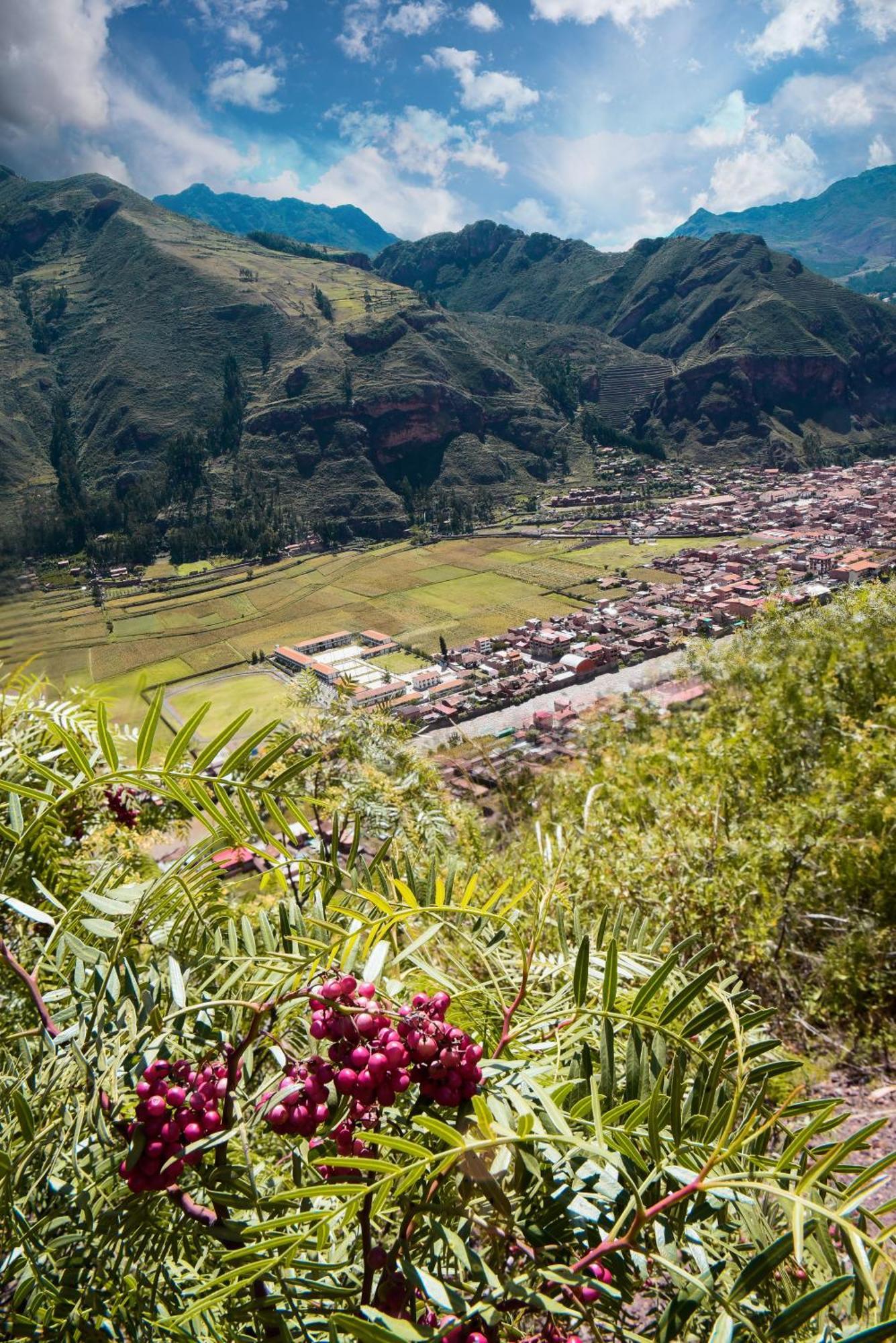 Rumi Lodge Pisac Eksteriør bilde